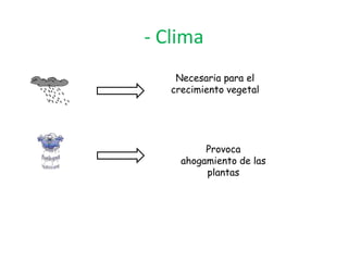 - Clima
Necesaria para el
crecimiento vegetal
Provoca
ahogamiento de las
plantas