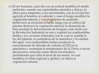 
 EI ser humano, cada día con su actitud modifica el medio
ambiente, usando sus capacidades mentales y físicas, lo
altera para adaptarlo a sus necesidades, con la revolución
agrícola el hombre al controlar y usar el fuego modificó la
vegetación natural, y con el pastoreo de animales
herbívoros se erosionó el suelo, luego con el cultivo de
plantas destruyó la vegetación natural, la demanda de
leña produjo la deforestación de bosques, más tarde con
la Revolución Industrial se usó y explotó los combustibles
fósiles y los recursos minerales, con lo cual se cambió la
faz del planeta, la naturaleza de la atmósfera y la calidad
del agua. Los combustibles fósiles producen la
concentración de dióxido de carbono (CO2) en la
atmósfera y aumentan la temperatura de la Tierra a través
del proceso conocido como efecto invernadero,
permitiendo que suba el nivel de los mares, lo cual
modifica el clima regional y global y se altera la
vegetación natural.
 