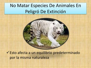 No Matar Especies De Animales En
Peligró De Extinción
Esto afecta a un equilibrio predeterminado
por la misma naturaleza
 