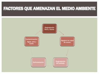Degradación
flora y fauna.
Agujero en capa
de ozono.
Degradación
del paisaje.
Deforestación-
Contaminación:
Agua, aire y
suelo.
 