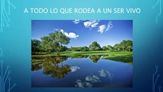 A TODO LO QUE RODEA A UN SER VIVO 
 