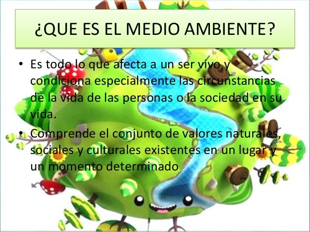 El medio ambiente
