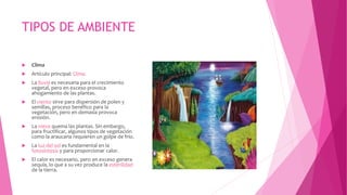 TIPOS DE AMBIENTE
 Clima
 Artículo principal: Clima
 La lluvia es necesaria para el crecimiento
vegetal, pero en exceso provoca
ahogamiento de las plantas.
 El viento sirve para dispersión de polen y
semillas, proceso benéfico para la
vegetación, pero en demasía provoca
erosión.
 La nieve quema las plantas. Sin embargo,
para fructificar, algunos tipos de vegetación
como la araucaria requieren un golpe de frío.
 La luz del sol es fundamental en la
fotosíntesis y para proporcionar calor.
 El calor es necesario, pero en exceso genera
sequía, lo que a su vez produce la esterilidad
de la tierra.
 