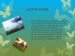 LLUVIA ACIDA
La acidificación de las aguas de lagos,
ríos y mares dificulta el desarrollo de
vida acuática en estas aguas, lo que
aumenta en gran medida la
mortalidad de peces. Igualmente,
afecta directamente a la vegetación,
por lo que produce daños importantes
en las zonas forestales, y acaba con
microorganismos fijadores de N.
 