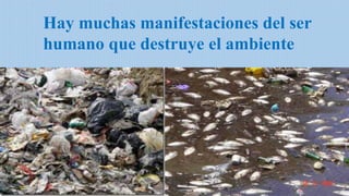 Hay muchas manifestaciones del ser
humano que destruye el ambiente