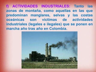 f) ACTIVIDADES INDUSTRIALES: Tanto las
zonas de montaña, como aquellas en las que
predominan manglares, selvas y las costas
oceánicas son víctimas de actividades
industriales (legales e ilegales) que se ponen en
marcha año tras año en Colombia.
 