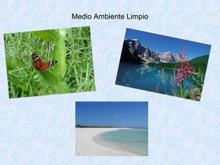 Medio Ambiente Limpio
 