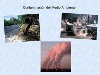 Contaminación del Medio Ambiente
 