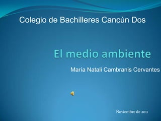 Colegio de Bachilleres Cancún Dos




             María Natali Cambranis Cervantes




                             Noviembre de 2011
 