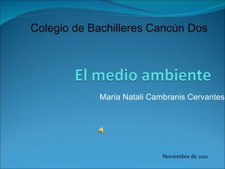 María Natali Cambranis Cervantes Colegio de Bachilleres Cancún Dos Noviembre de 2011 