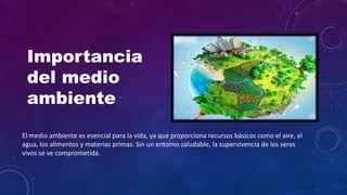 La importancia del medio ambiente y acciones para su protección | PDF