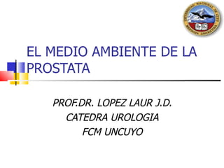 EL MEDIO AMBIENTE DE LA PROSTATA PROF.DR. LOPEZ LAUR J.D. CATEDRA UROLOGIA FCM UNCUYO 