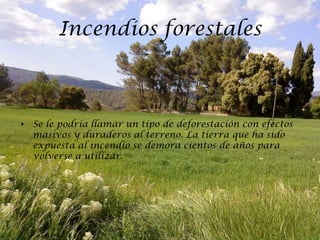 Incendios forestales



• Se le podría llamar un tipo de deforestación con efectos
  masivos y duraderos al terreno. La tierra que ha sido
  expuesta al incendio se demora cientos de años para
  volverse a utilizar.
 