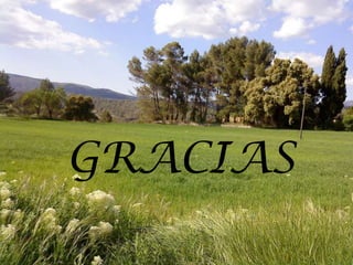 GRACIAS
 