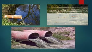 El medio ambiente sergio