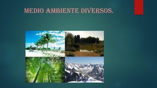 Medio ambiente diversos.