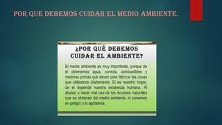 Por que debemos cuidar el medio ambiente.