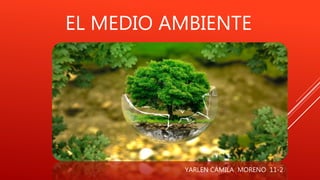 EL MEDIO AMBIENTE
YARLEN CAMILA MORENO 11-2
 
