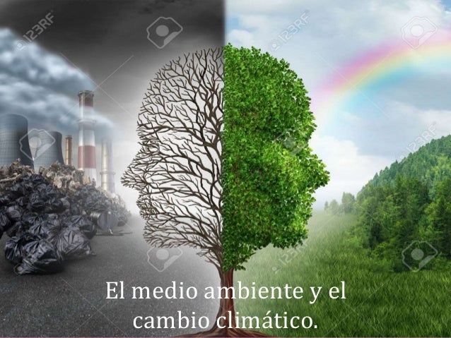 Resultado de imagen de CAMBIO CLIMATICO Y MEDIO AMBIENTE