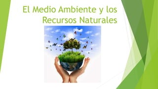 El Medio Ambiente y los
Recursos Naturales
 