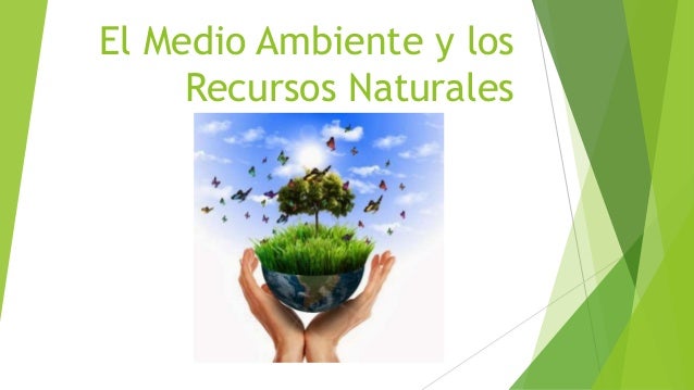 El medio ambiente y los recursos naturales completa