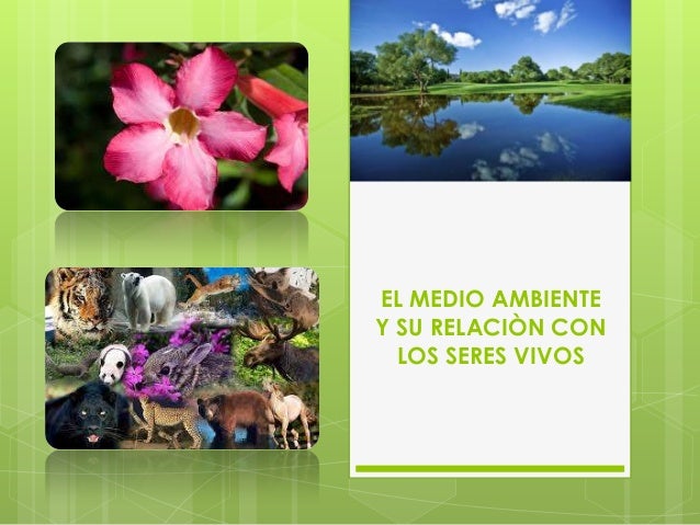 El medio ambiente y su relaci n - El Medio Ambiente Y Su Relacin Con Los Seres Vivos 1 638 