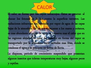 CALOR
El calor es forma por los rayos infrarrojos. Estos se generan al
chocar los fotones de la luz contra la superficie terrestre. Las
radiaciones infrarrojas son retenidas por vapor de agua de las capas
bajas de la atmosfera. En las zonas cercanas a los mares y océanos,
es mas abundante el vapor de agua, se conserva mas el calor que en
las regiones alejadas. El calor del ecuador en forma del vapor es
transportado por la atmosfera hacia latitudes mas frías, donde se
condensa el agua y se precipita en forma de lluvia.
La diapausa, periodo de crecimiento suspendido que presentan
algunos insectos que toleran temperaturas muy bajas, algunos peces
y reptiles.
 