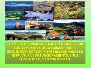 EL AMBIENTE FUNCIONA COMO UN TODO ES DECIR
LOS ELEMENTOS QUE LO FORMAN QUE SE
ENCUENTRAN ESTRECHAMENTE RELACIONADOS SU
ESTRUCTURA Y SU FUNCIONAMIENTO. Y SUS
ELEMENTOS QUE LO CONFORMAN.
 