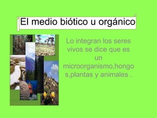 El medio biótico u orgánico
Lo integran los seres
vivos se dice que es
un
microorganismo,hongo
s,plantas y animales .
 