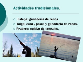 Actividades tradicionales.

    Estepa: ganadería de renos
   Taiga: caza , pesca y ganadería de renos.
   Pradera: cultivo de cereales.
 