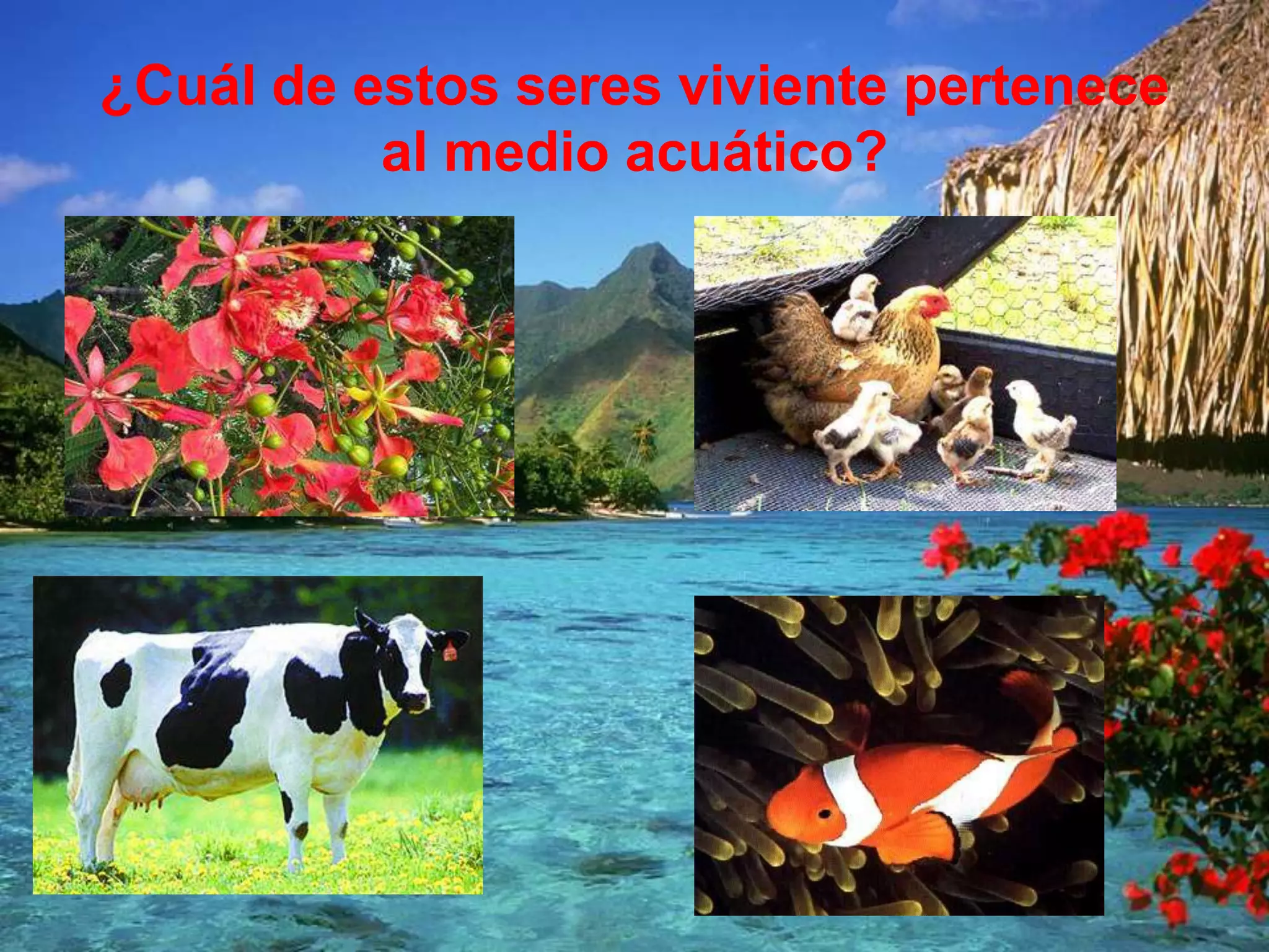 El medio en el cual viven los animales | PPT
