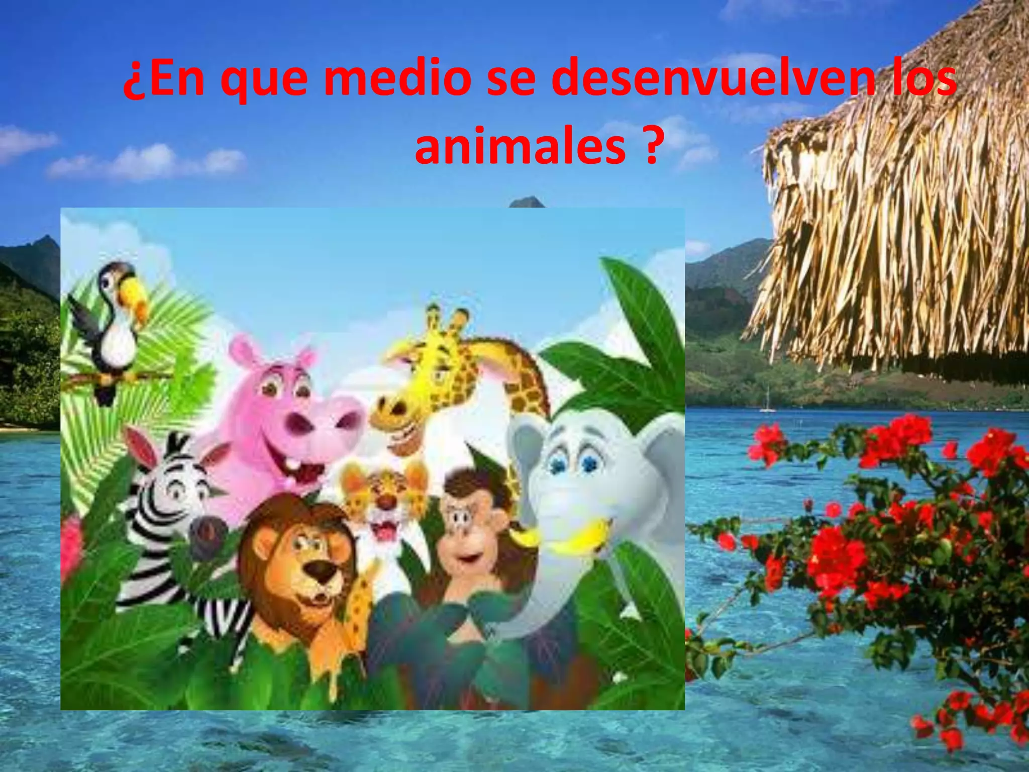 El medio en el cual viven los animales | PPT