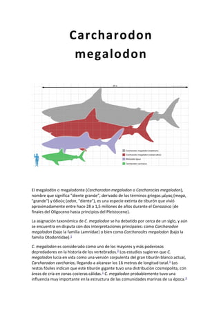 El megalodón o megalodonte (Carcharodon megalodon o Carcharocles megalodon),
nombre que significa "diente grande", derivado de los términos griegos μέγας (mega,
"grande") y δούς (ὀ odon, "diente"), es una especie extinta de tiburón que vivió
aproximadamente entre hace 28 a 1,5 millones de años durante el Cenozoico (de
finales del Oligoceno hasta principios del Pleistoceno).
La asignación taxonómica de C. megalodon se ha debatido por cerca de un siglo, y aún
se encuentra en disputa con dos interpretaciones principales: como Carcharodon
megalodon (bajo la familia Lamnidae) o bien como Carcharocles megalodon (bajo la
familia Otodontidae).1
C. megalodon es considerado como uno de los mayores y más poderosos
depredadores en la historia de los vertebrados.2 Los estudios sugieren que C.
megalodon lucía en vida como una versión corpulenta del gran tiburón blanco actual,
Carcharodon carcharias, llegando a alcanzar los 16 metros de longitud total.1 Los
restos fósiles indican que este tiburón gigante tuvo una distribución cosmopolita, con
áreas de cría en zonas costeras cálidas.1 C. megalodon probablemente tuvo una
influencia muy importante en la estructura de las comunidades marinas de su época.3
Carcharodon
megalodon
 