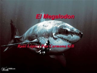 El Megalodon

Raül López i Pau Carmona 6éB

 