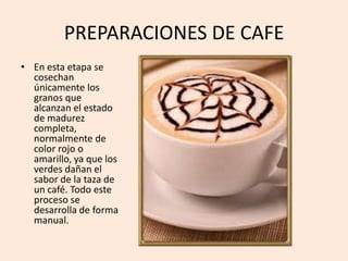 PREPARACIONES DE CAFE
• En esta etapa se
cosechan
únicamente los
granos que
alcanzan el estado
de madurez
completa,
normalmente de
color rojo o
amarillo, ya que los
verdes dañan el
sabor de la taza de
un café. Todo este
proceso se
desarrolla de forma
manual.
 