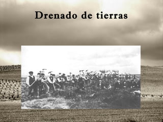 Drenado de tierras 
