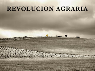 REVOLUCION  AGRARIA 