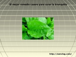 http://senvlog.com/
El mejor remedio casero para curar la bronquitis
 