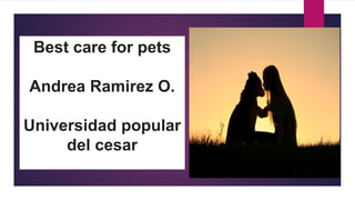 Best care for pets
Andrea Ramirez O.
Universidad popular
del cesar
 