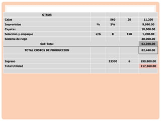 OTROS
Cajas 560 20 11,200
Imprevistos % 5% 9,990.00
Capataz 10,000.00
Selección y empaque d/h 8 150 1,200.00
Sistema de riego 30,000.00
Sub-Total 62,390.00
TOTAL COSTOS DE PRODUCCION 82,440.00
Ingreso 33300 6 199,800.00
Total Utilidad 117,360.00
 