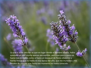 Lo que sí pude percibir es que en lugar donde el hombre estaba, había
quedado un sutil aroma apenas perceptible, pero que poco a poco se
hacía más evidente, como si fuera un bouquet de flores silvestres y
hierba fresca que no había en ésa época del año, que me inundaba y me
llenaba de una paz que hasta ese momento no había conocido.
 