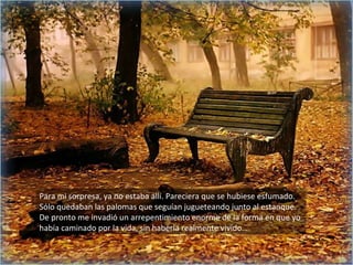 Para mi sorpresa, ya no estaba allí. Pareciera que se hubiese esfumado. Sólo quedaban las palomas que seguían jugueteando junto al estanque. De pronto me invadió un arrepentimiento enorme de la forma en que yo había caminado por la vida, sin haberla realmente vivido…  