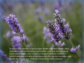 Lo que sí pude percibir es que en lugar donde el hombre estaba, había
quedado un sutil aroma apenas perceptible, pero que poco a poco se
hacía más evidente, como si fuera un bouquet de flores silvestres y
hierba fresca que no había en ésa época del año, que me inundaba y me
llenaba de una paz que hasta ese momento no había conocido.
 