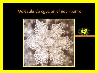 Molécula de agua en el nacimiento 