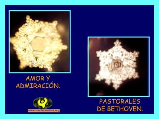 AMOR Y ADMIRACIÓN. PASTORALES DE BETHOVEN. 