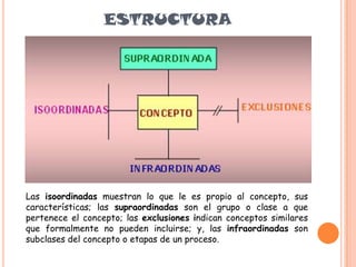 ESTRUCTURA
Las isoordinadas muestran lo que le es propio al concepto, sus
características; las supraordinadas son el grupo o clase a que
pertenece el concepto; las exclusiones indican conceptos similares
que formalmente no pueden incluirse; y, las infraordinadas son
subclases del concepto o etapas de un proceso.
 