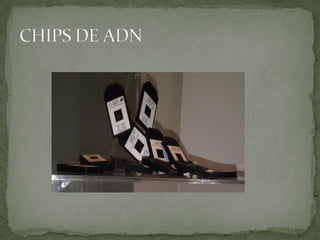 CHIPS DE ADN