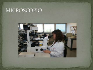 MICROSCOPIO