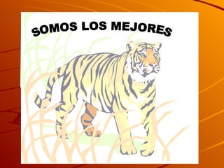 SOMOS LOS MEJORES 