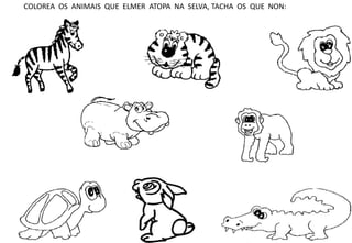 COLOREA OS ANIMAIS QUE ELMER ATOPA NA SELVA, TACHA OS QUE NON: 
 